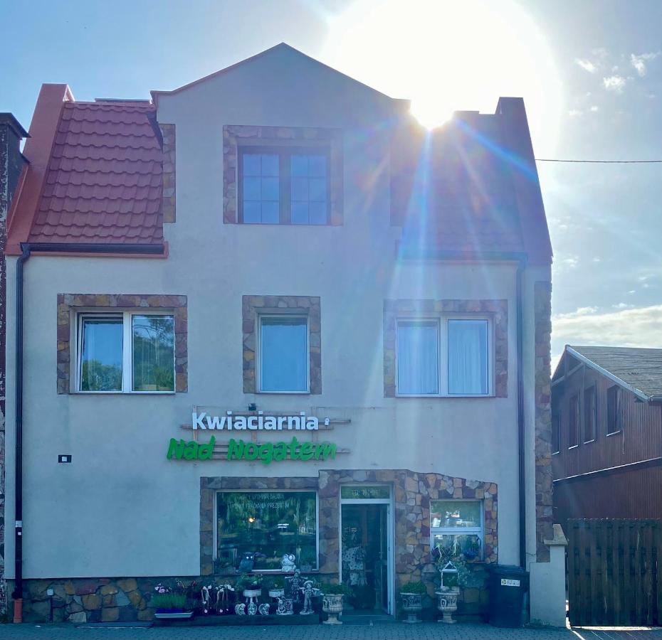 Apartment Glowna Nad Nogatem
